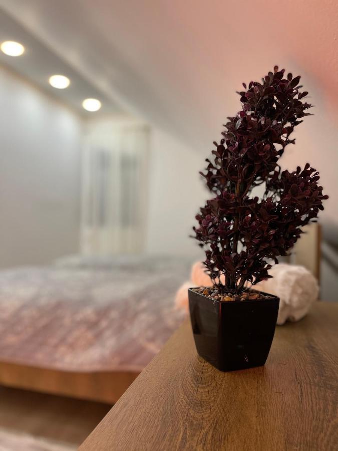 Luna Apartment Novi Pazar Buitenkant foto